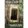 The Day the Mirror Cried