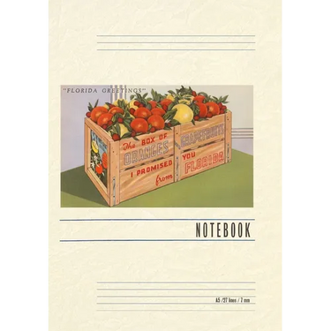 Vintage Lined Notebook Florida Greetings, Orange Crate