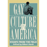 Gay Culture in America: Essays from the Field