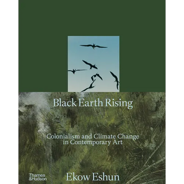 Black Earth Rising: Colonialism and Climate Change in Contemporary Art
