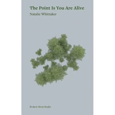 The Point Is You Are Alive