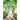 The Alphabet Woods