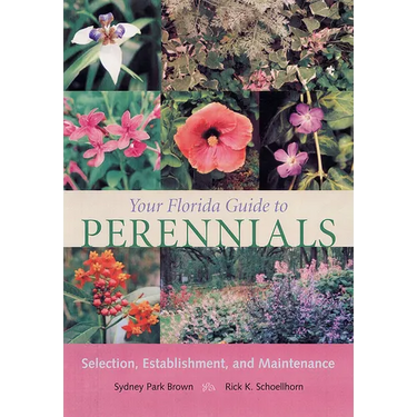 Your Florida Guide to Perennials: Selection, Establishment, and Maintenance