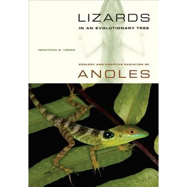 Lizards in an Evolutionary Tree: Ecology and Adaptive Radiation of Anoles Volume 10