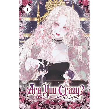 Are You Crazy?: Volume I (Light Novel)