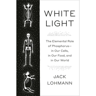 White Light: The Elemental Role of Phosphorus-In Our Cells, in Our Food, and in Our World
