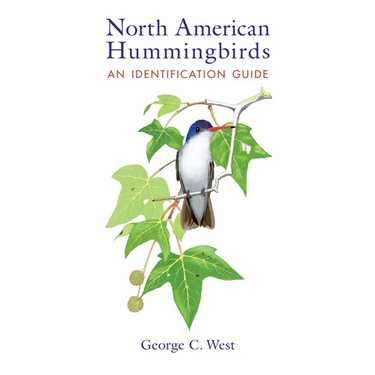 North American Hummingbirds: An Identification Guide