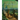 The Court of Hidden Faces: Large format edition