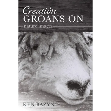 Creation Groans On