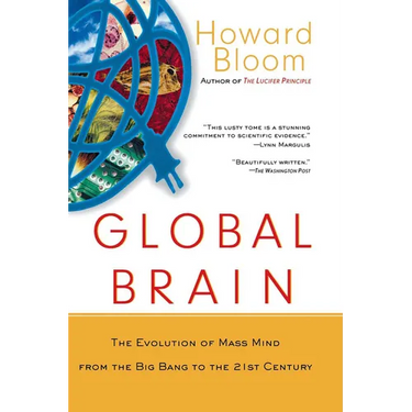 Global Brain: The Evolution of the Mass Mind from the Big Bang to the 21st Century