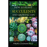 How to Plant Succulents and Growing Tips