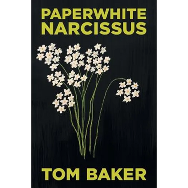 Paperwhite Narcissus