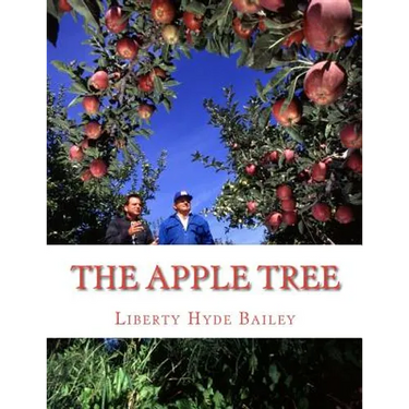 The Apple Tree: A Guide To Growing Apples At Home