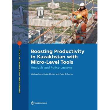 Boosting Productivity in Kazakhstan with Micro-Level Tools: Analysis and Policy Lessons