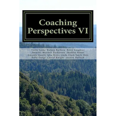 Coaching Perspectives VI