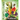 Knowledge Encyclopedia Plants and Fungi!: Our Growing World as You've Never Seen It Before