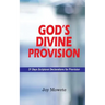 God's Divine Provision (31 Days Scriptural Declarations for Provision)
