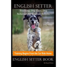 English Setter Training, Dog Care, Dog Behavior, for English Setters By D!G THIS DOG Training, Training Begins From the Car Ride Home, English Setter