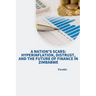 A Nation's Scars: Hyperinflation, Distrust, and the Future of Finance in Zimbabwe