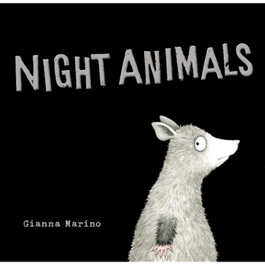Night Animals