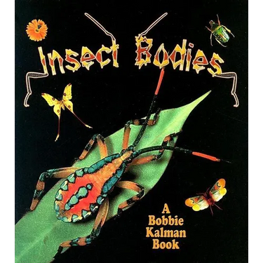 Insect Bodies