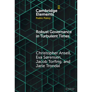 Robust Governance in Turbulent Times