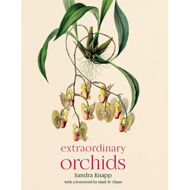 Extraordinary Orchids