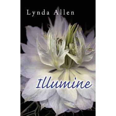 Illumine