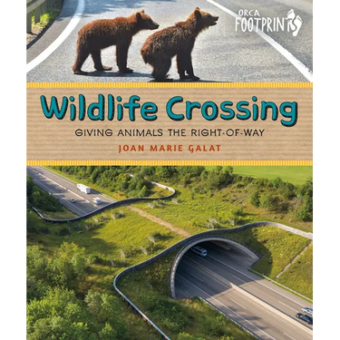 Wildlife Crossing: Giving Animals the Right-Of-Way