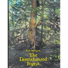 The Disenchanted Forest