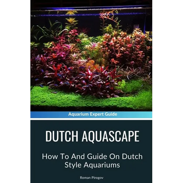 Dutch Aquascape: How To And Guide On Dutch Style Aquariums