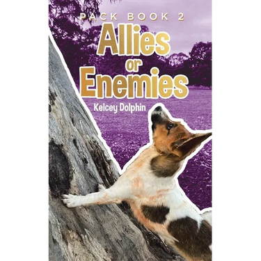 Allies or Enemies