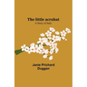 The little acrobat: a story of Italy