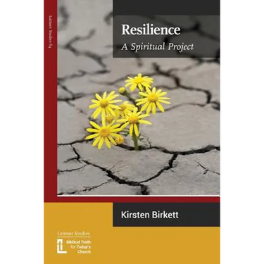 Resilience: A Spiritual Project