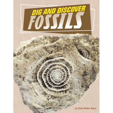 Dig and Discover Fossils