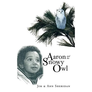 Aaron and the Snowy Owl