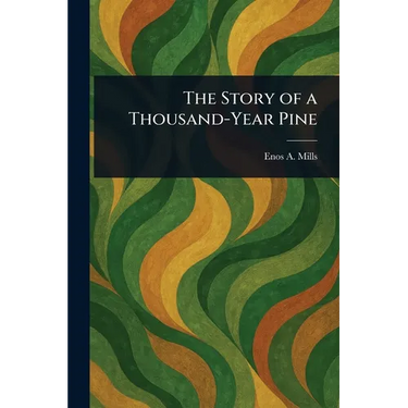 The Story of a Thousand-Year Pine