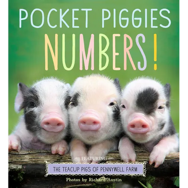 Pocket Piggies Numbers!: Featuring the Teacup Pigs of Pennywell Farm
