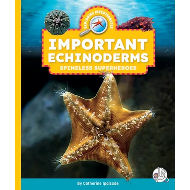 Important Echinoderms: Spineless Superheroes