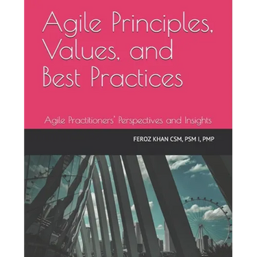 Agile Principles, Values, and Best Practices: Agile Practitioners' Perspectives and Insights
