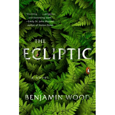 The Ecliptic