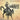 The Story of the Cowboys - US History Books Children's American History
