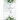 Garden of Love