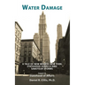 Water Damage: A Tale of New Mexico, New York, Statehood Squalls and Saboteur Storms