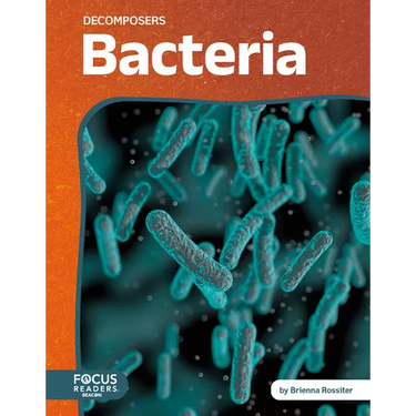 Bacteria