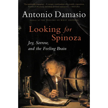 Looking for Spinoza: Joy, Sorrow, and the Feeling Brain