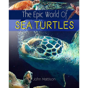 The Epic World Of Sea Turtles