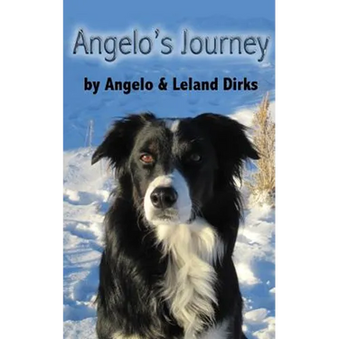 Angelo's Journey: A Border Collie's Quest for Home