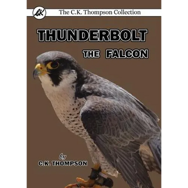 Thunderbolt the Falcon