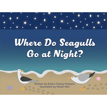 Where Do Seagulls Go at Night?
